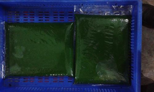 Frozen Spinach Paste