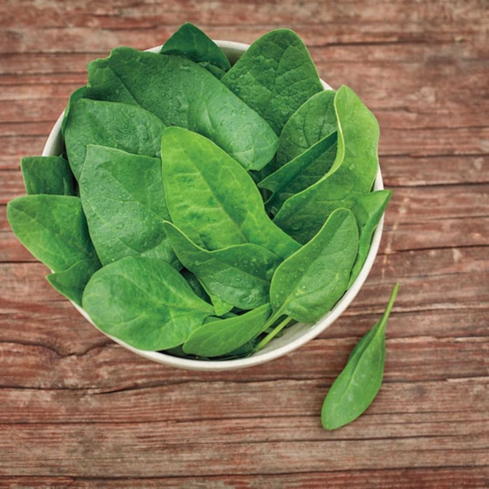 A Grade Maharashtra Fresh Baby Spinach Leaves, 10 Kg