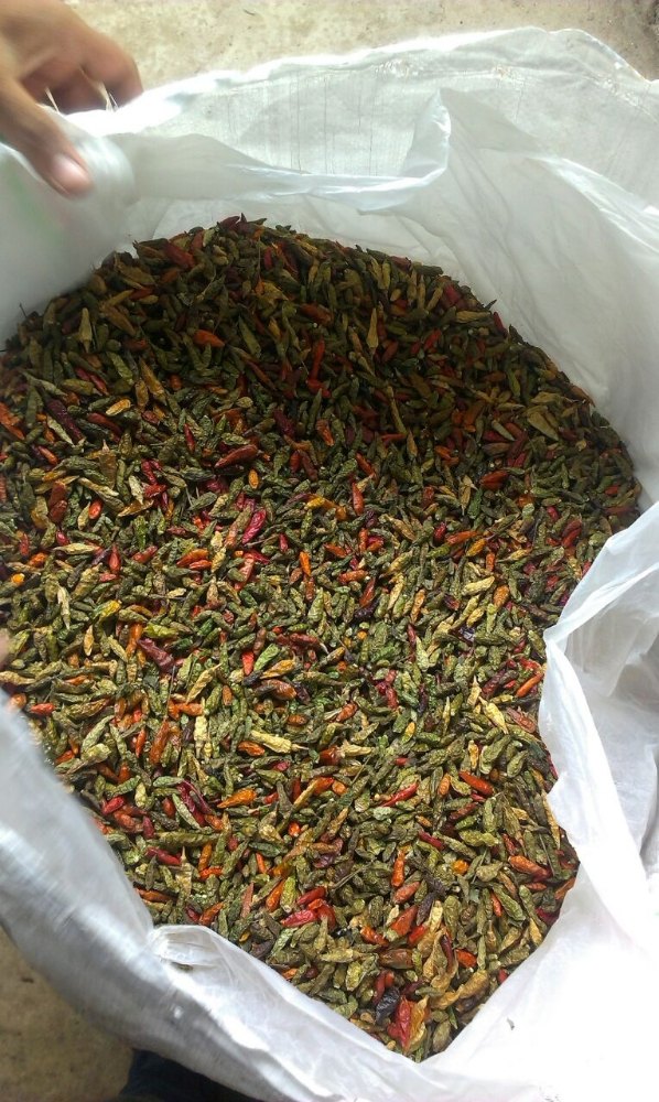 Indian Origen A Grade Bird Eye Chilli, Packaging Size: 30 kg