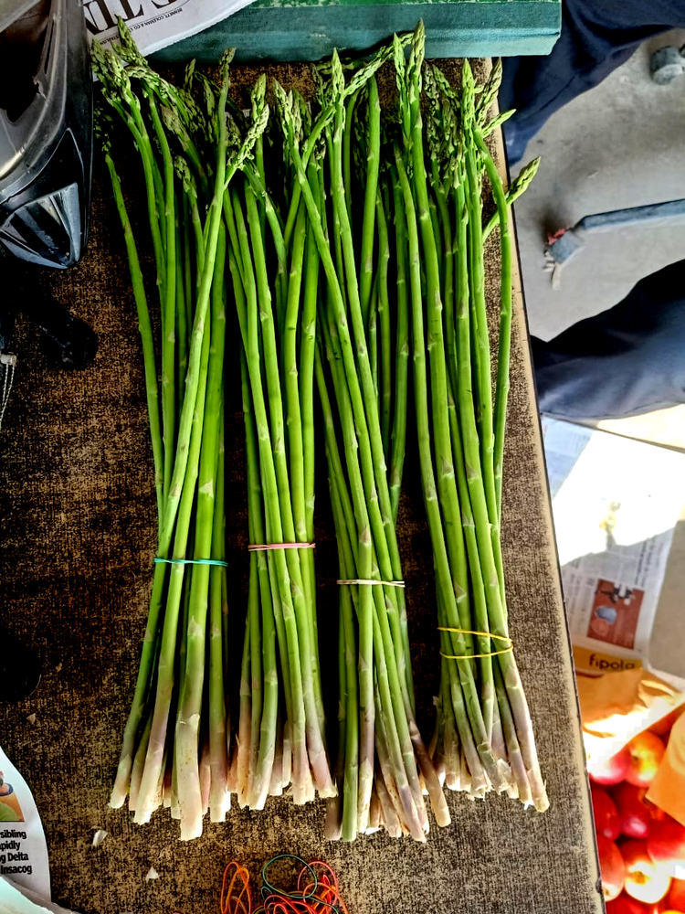 500Kg\'s Pan India Fresh Export Quality Green Asparagus, Pesticide Free (for Raw Products), Packaging Size: 5 Kg Box Packing