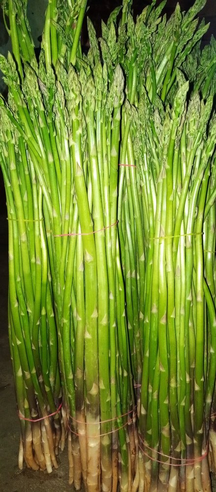 200 kg\'s Per Day Karanataka Tamil Nadu Green Asparagus, Packaging Size: 20 L X 12h X 14 W (inch\'s)