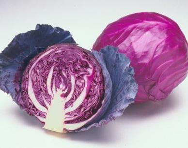 Rijk Zwaan Red Cabbage Seeds, For Agriculture, Pack Size: 2500 Seeds / Packet