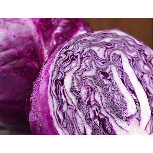 A Grade Green Red Cabbage, Packaging Size: 20-50 kg, Pesticides Free