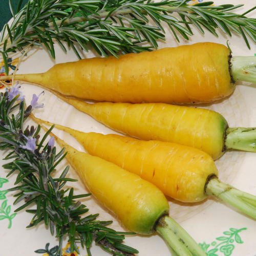 50 kg Yellow Carrot