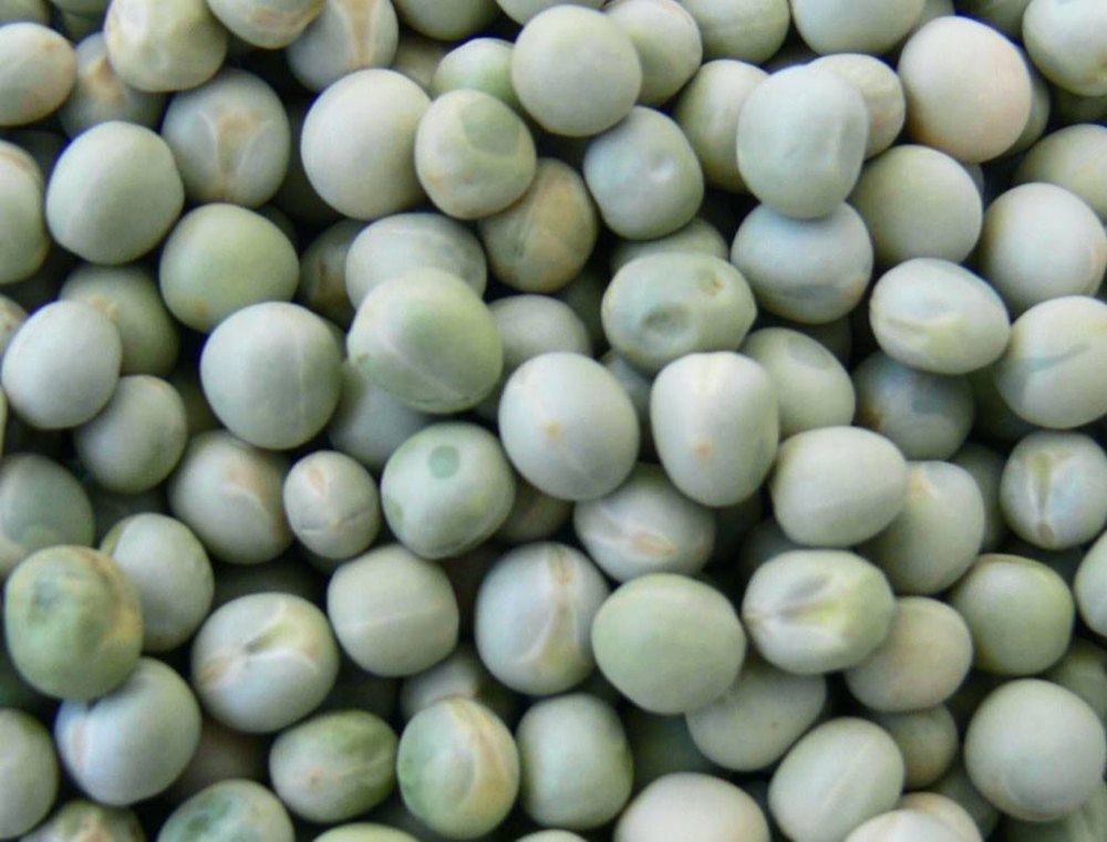 A Grade Dry Green Peas, Loose