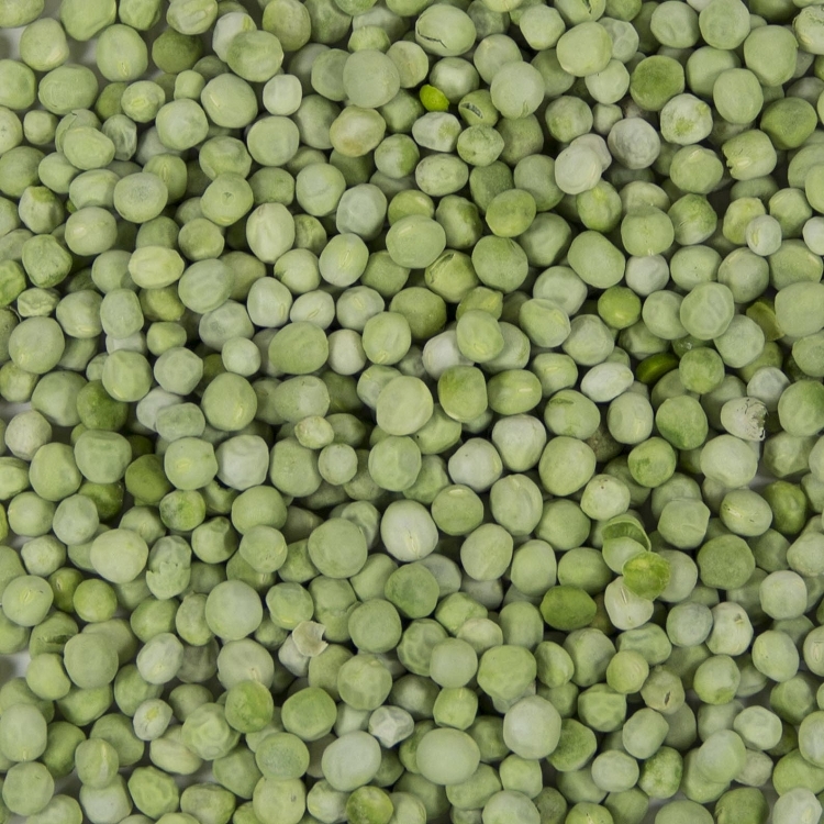 Organic Green Dry Peas