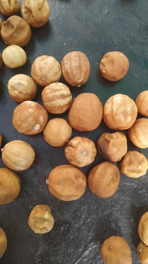 A Grade Dried Brown Dry Lemon