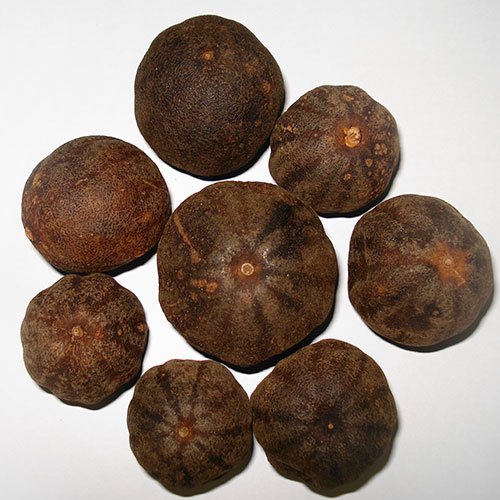 Dried Lemon Dry, PP Bag, Packaging Size: 45 kg