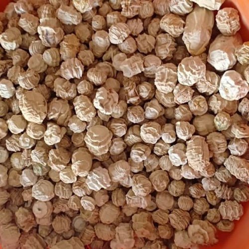 A Grade Dried Kachri, Jute Bag, Packaging Size: 50 Kg