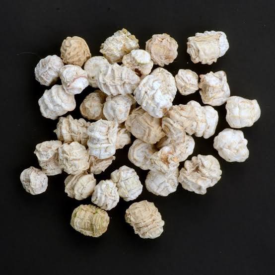 A Grade Dried Kachri