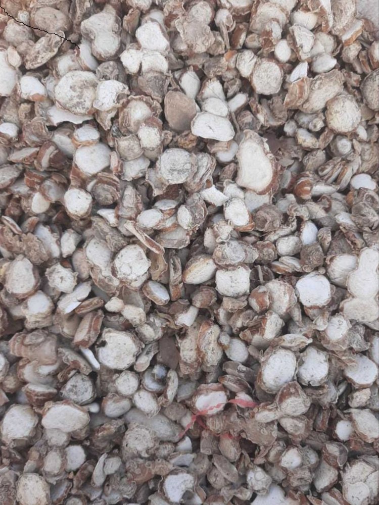 Brown Natural Dried Kapoor Kachri