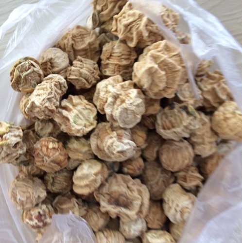 Dried Kachri, Packaging: 12 kg