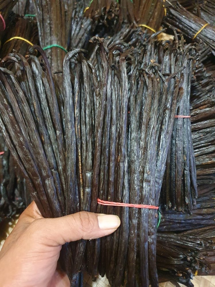 Madagascar Common Premium Dried Vanilla Beans, A Grade, Packaging Size: 50 Kg