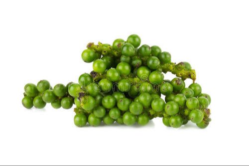 A Grade Dried Mushroom Green Pepper, Plastic Bag, Packaging Size: 10 Kg