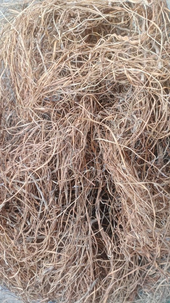 A Grade AMAR BELL DRIED, PP Bag, Packaging Size: 50 Kg