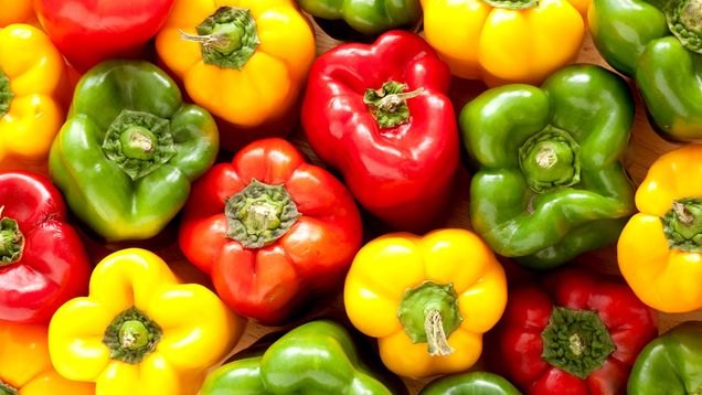 A Grade Fresh Mushroom Bell pepper, Carton, Packaging Size: 5 Kg