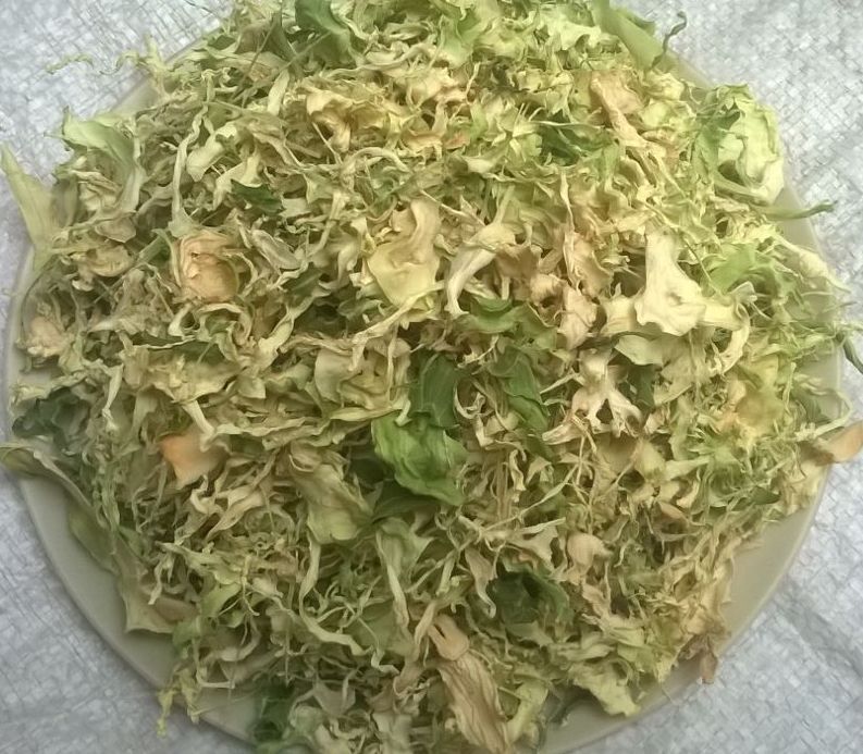 Dehydrated Vegetables - Dried Cabbage