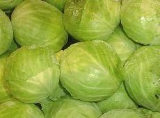 Vegetables-Cabbage