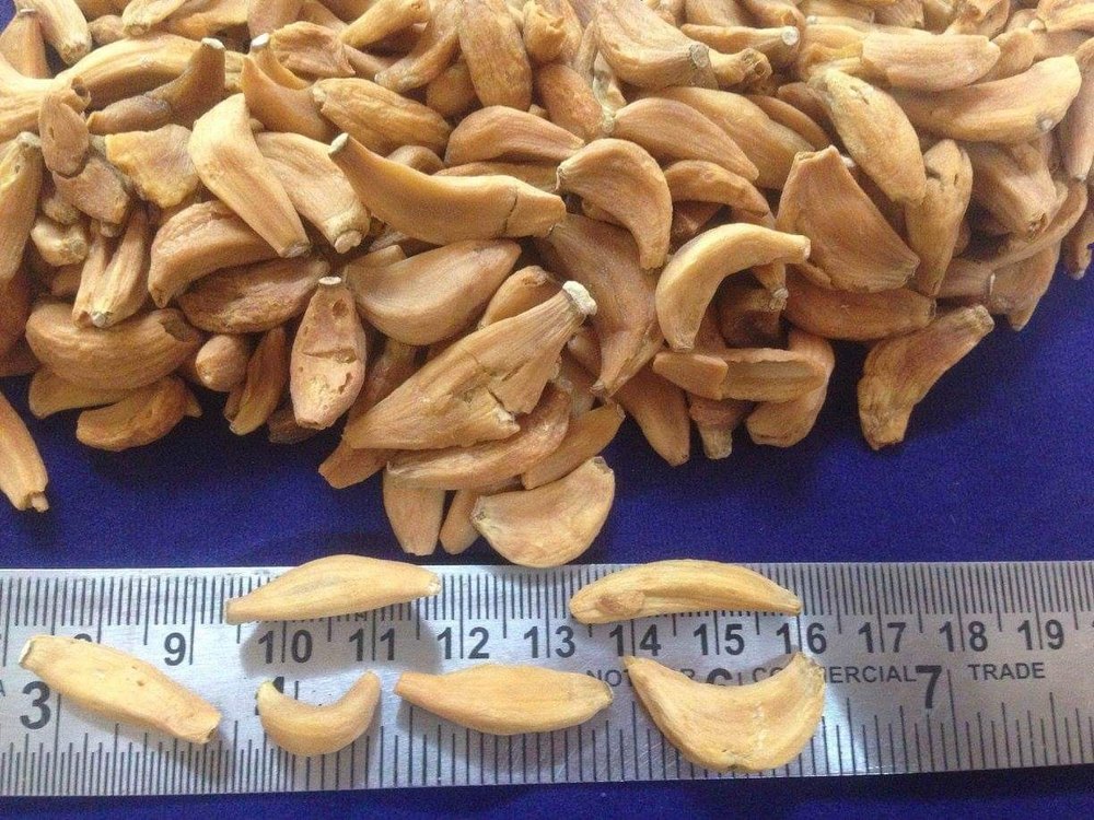 Dehydrated Garlic Flakes /cloves., Packaging: Plastic Bag or Polythen
