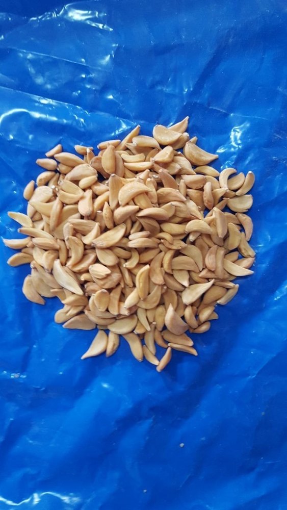 Sinhal Dry Garlic Flakes - Lehsun, Madhya Pradesh, India