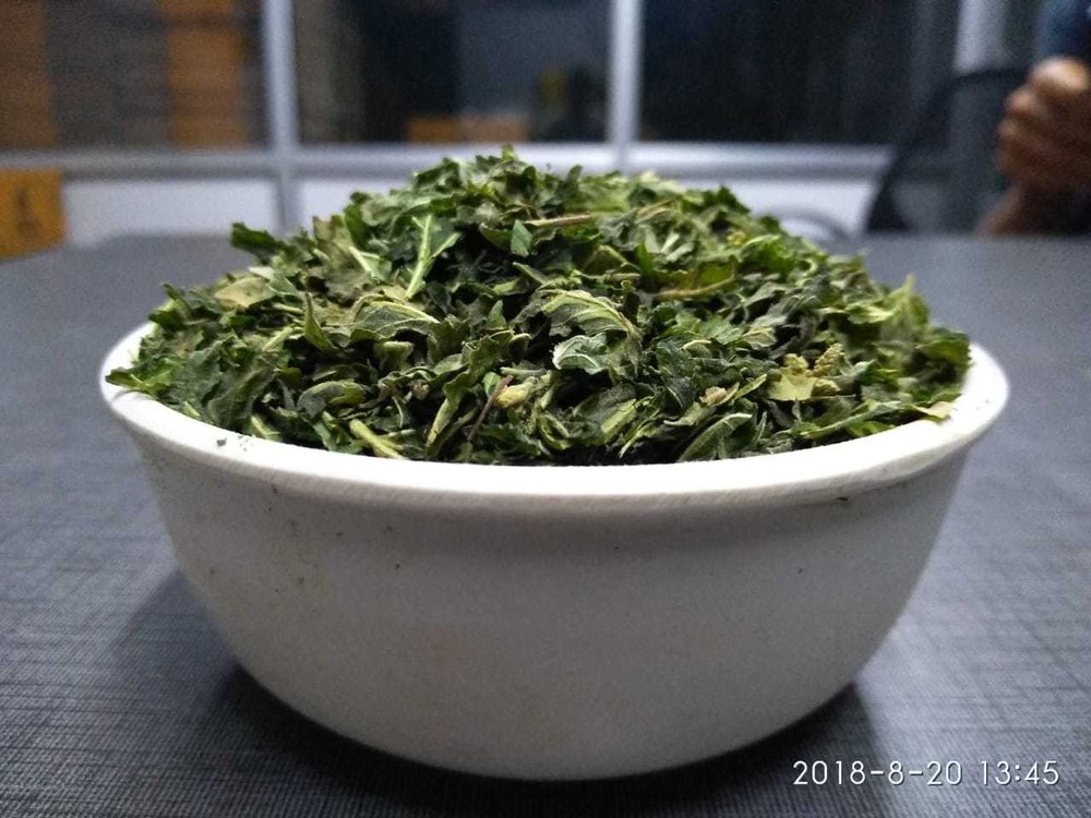 Hsdl 2 Years Freeze Dried Basil, Packaging Size: Bulk