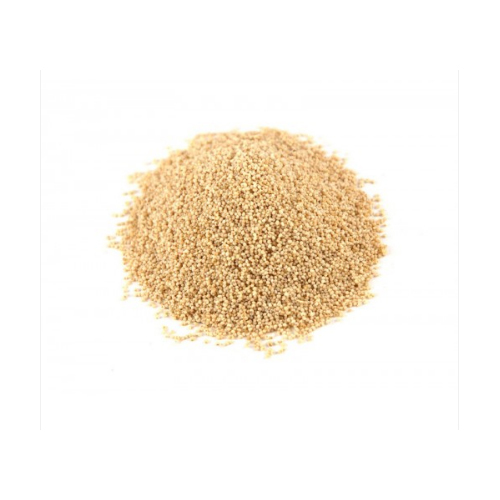 100 g Dried Seeds, Packaging: Packet