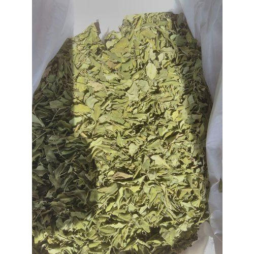 1 kg Freeze Dried Stevia, Packaging: Aluminium Bag