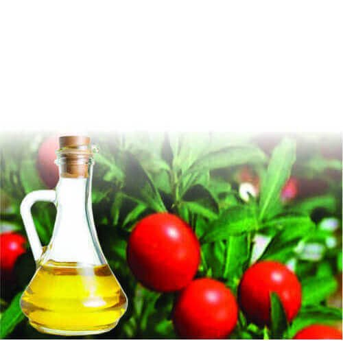 Tomato Liquid Extracts