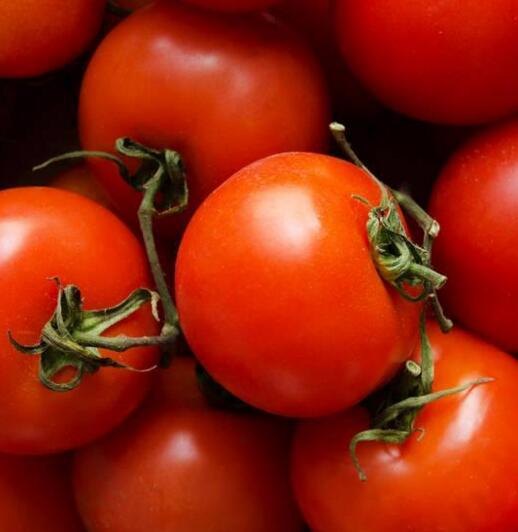 Natural Tomato Extract