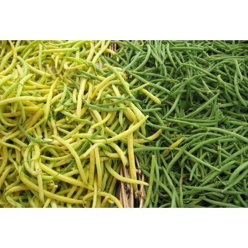 Spring Beans
