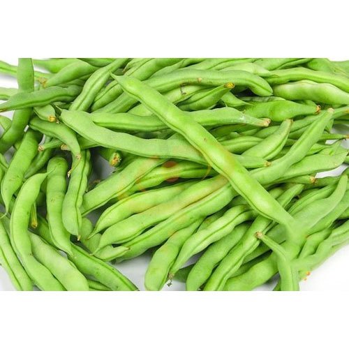 Green Stick Beans, Packaging Type-Bag