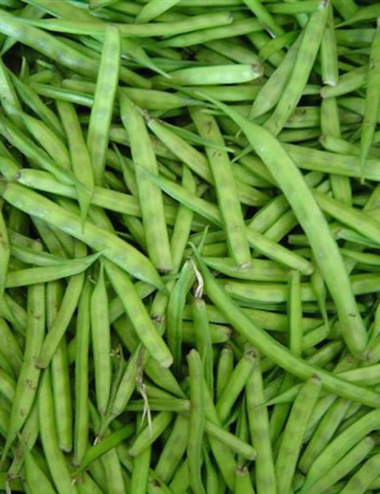 Green Organic Cluster Beans, A Grade