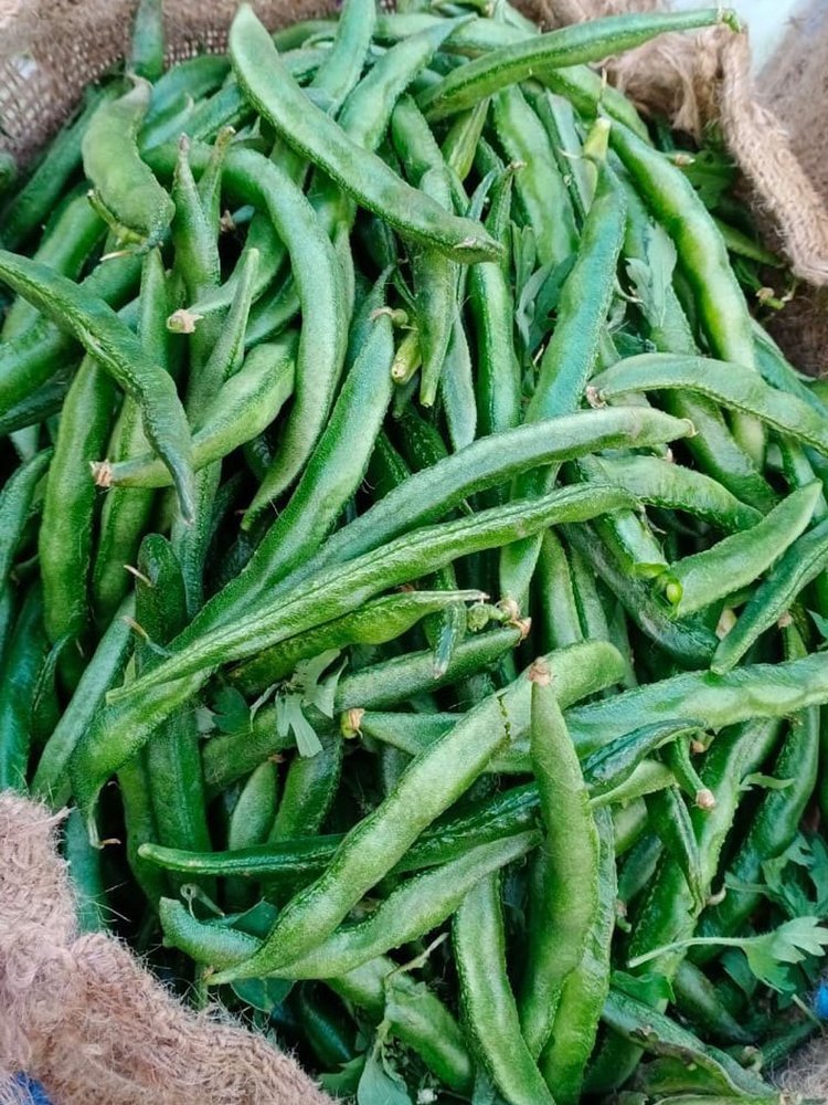 Feild Beans, A Grade, Is It Organic: Organic