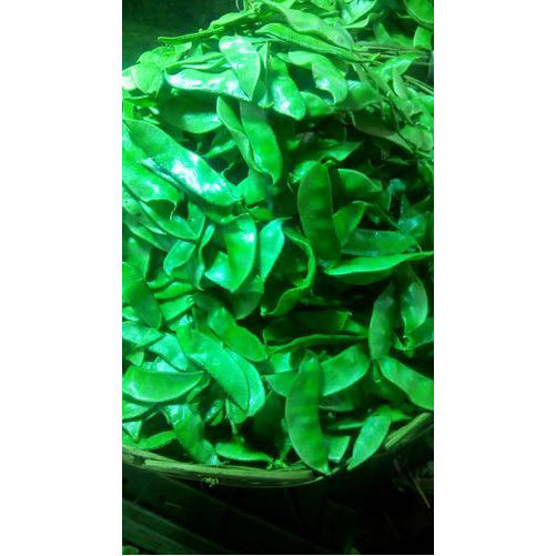 Broad Beans