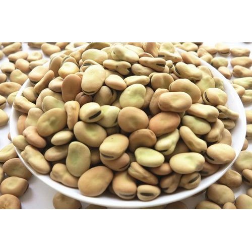 Fava Beans, PP Bag, Packaging Size: 50 Kg