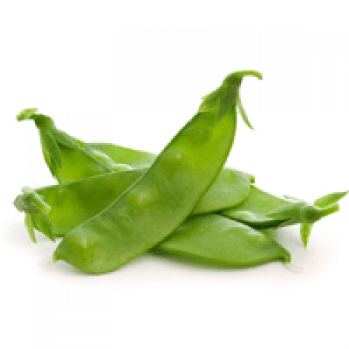 Green Broad Bean