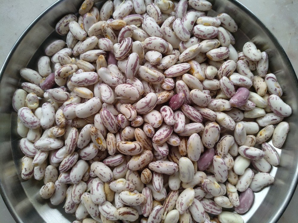Ajinkya Standard French Beans ( Rajamash ), 4 kg, Is It Organic: In Organic