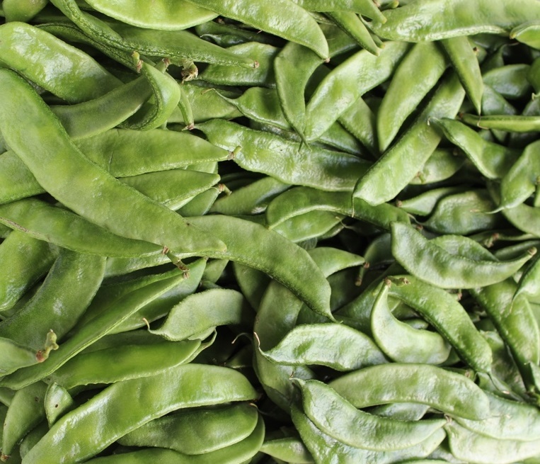 Valor Papdi String Bean
