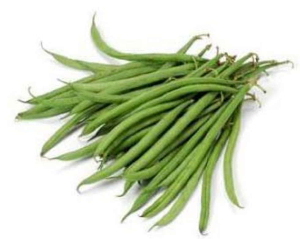 Fresh String Beans