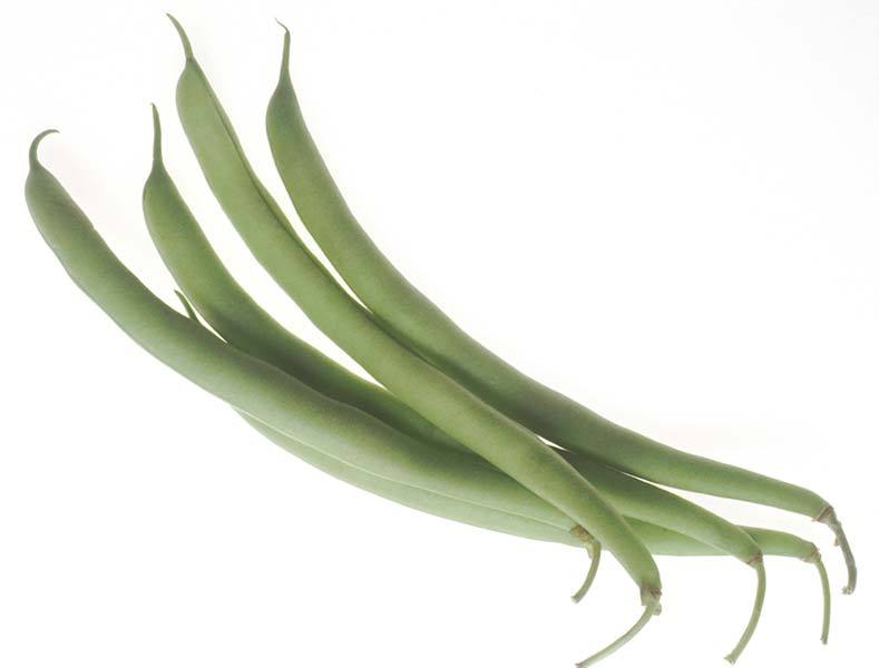 Fresh String Beans