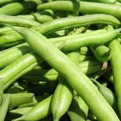 Green Beans
