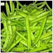 Cluster Beans