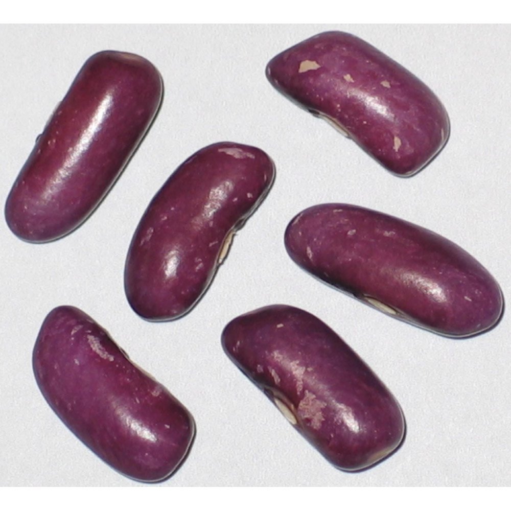 Queen Group Purple Bean Seeds, For Agriculture, Packaging Size: 1 kg