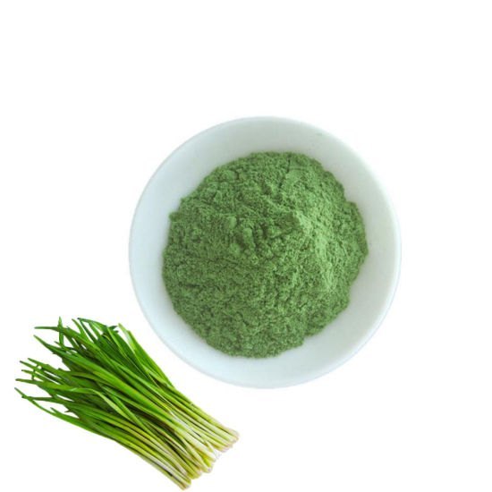 Aadhikesh Exports Dehydrated Chives Powder, PP Bag