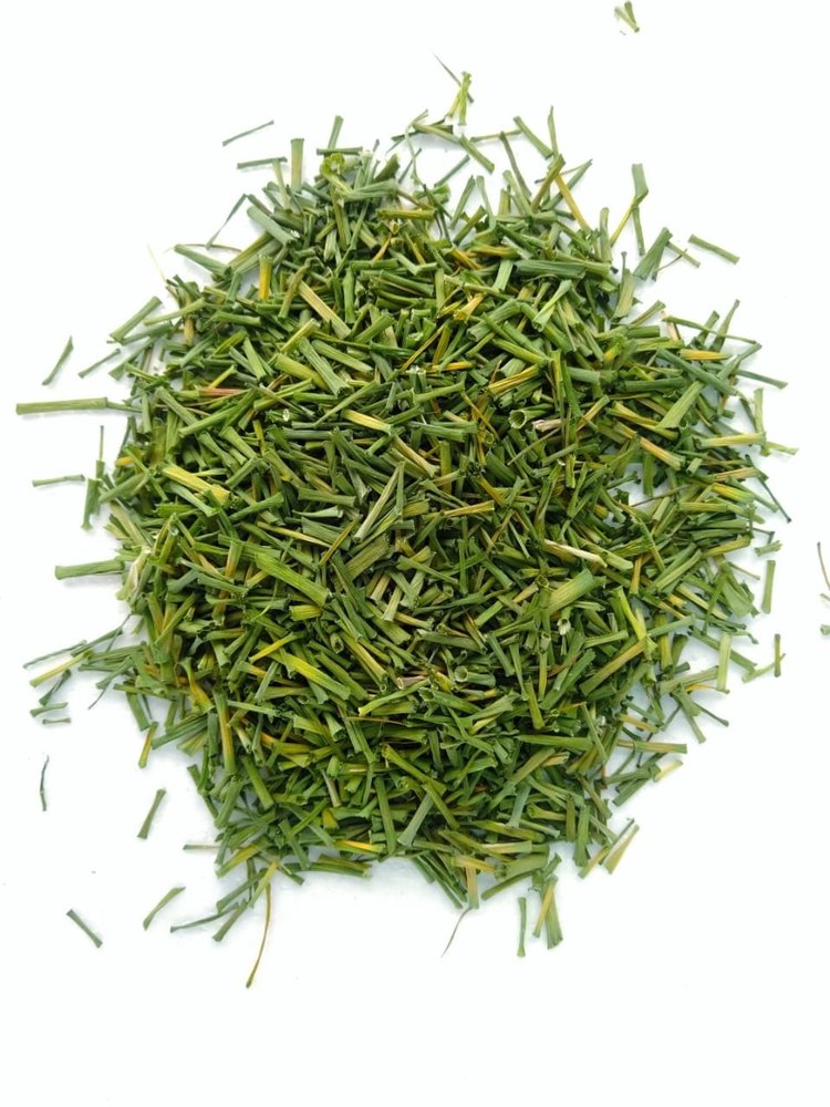 A Grade Air Dried Chives, Packaging Size: 5 Kg