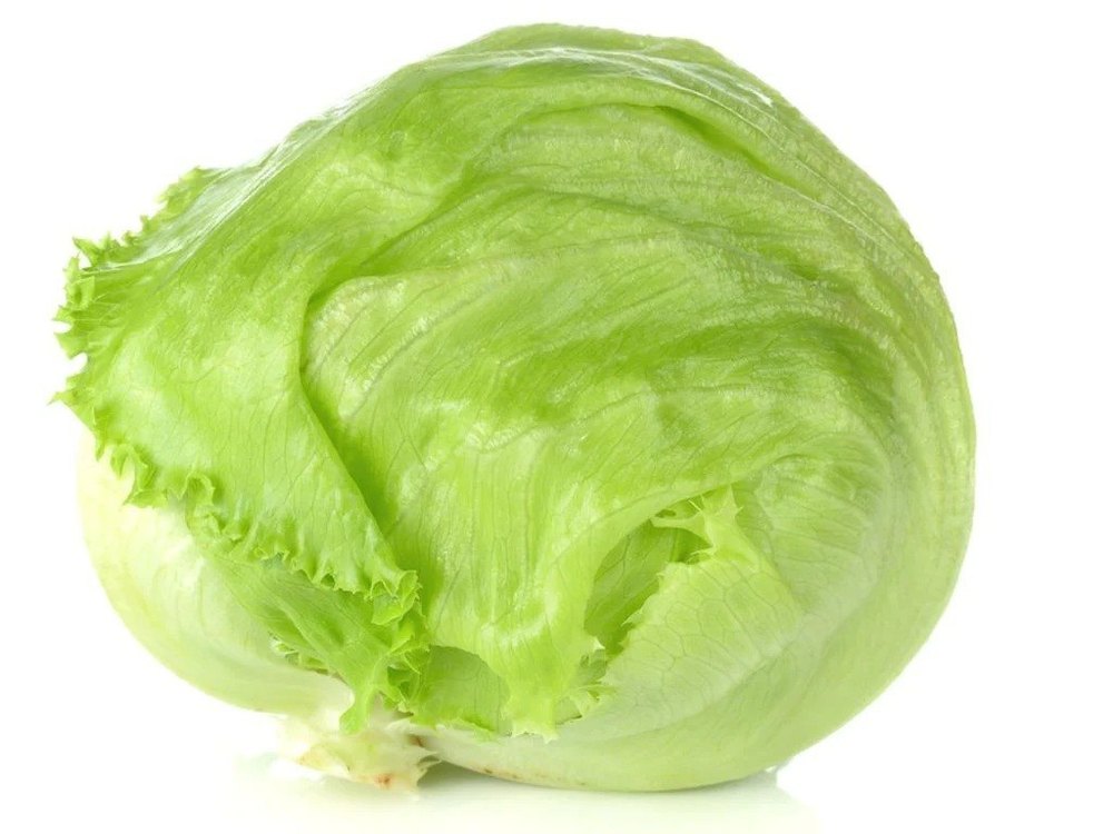 Light Green Pesticide Free (for Raw Products) Organic Lettuce Iceberg
