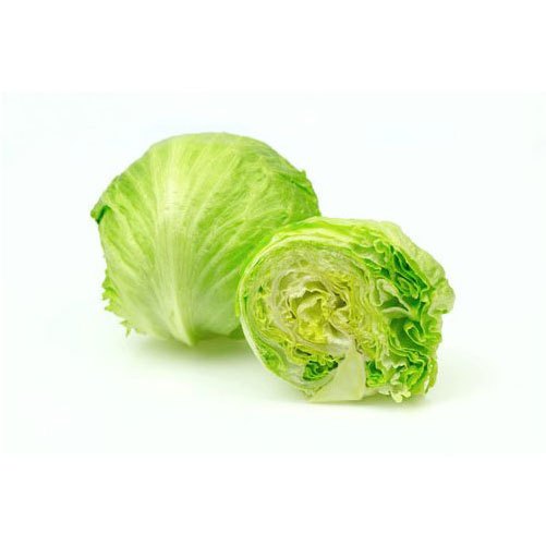 Fresh Lettuce Iceberg