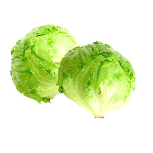Iceberg Lettuce