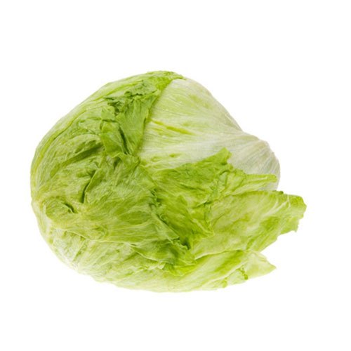 Green Fresh Lettuce Iceberg