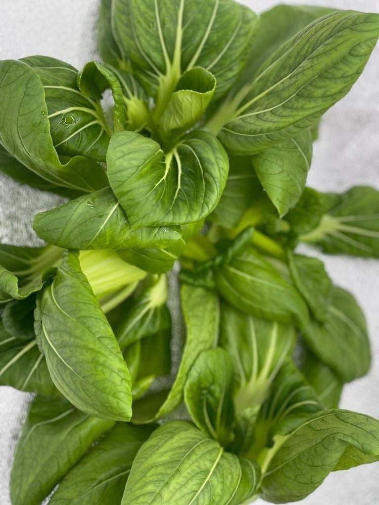 Green Pesticide Free (for Raw Products) A Grade Romaine Lettuce, Is It Organic
